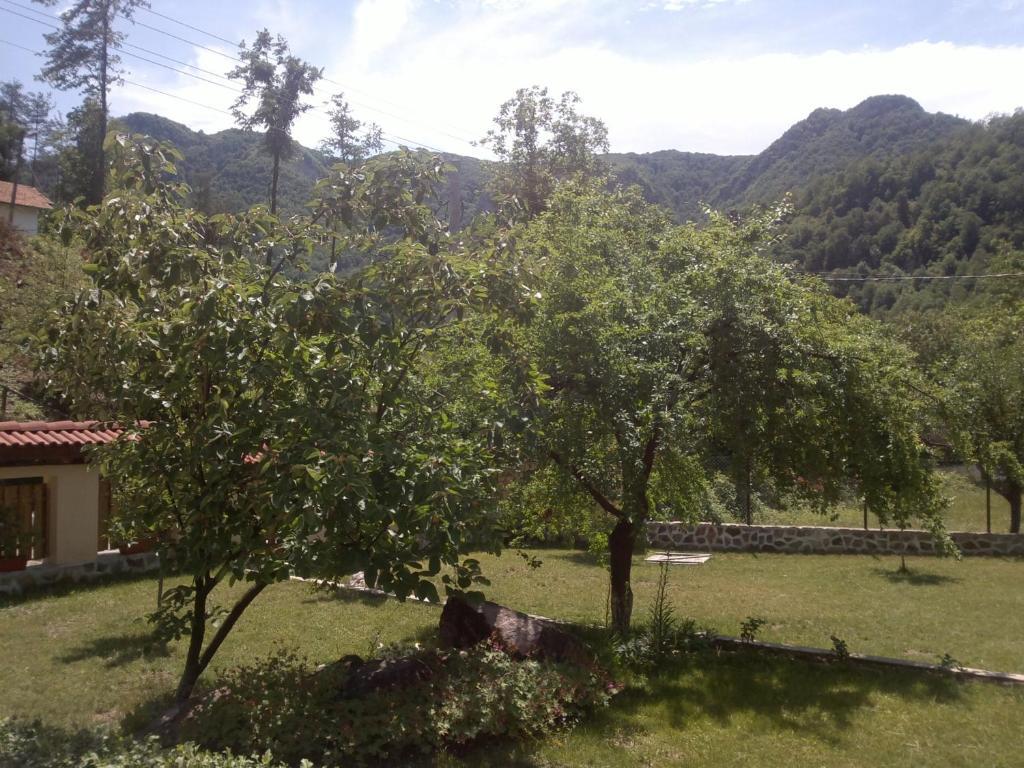 Villa Nanevi Teteven Buitenkant foto