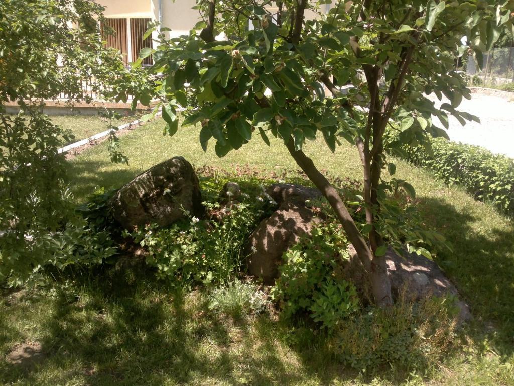 Villa Nanevi Teteven Buitenkant foto